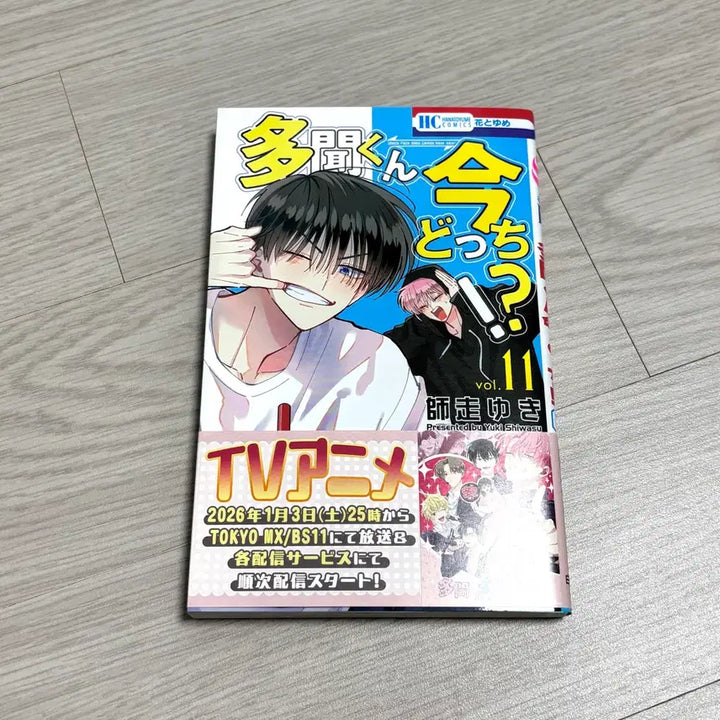 [BUNJANG] Tamontown Owori Nui Paru, Acrylic Stand, and Photocard Bundle Set / 타몬군 지금 어느 쪽 오우리 굿즈 일괄 양도 (오우리 누이파루, 아크릴, 포토카드)
