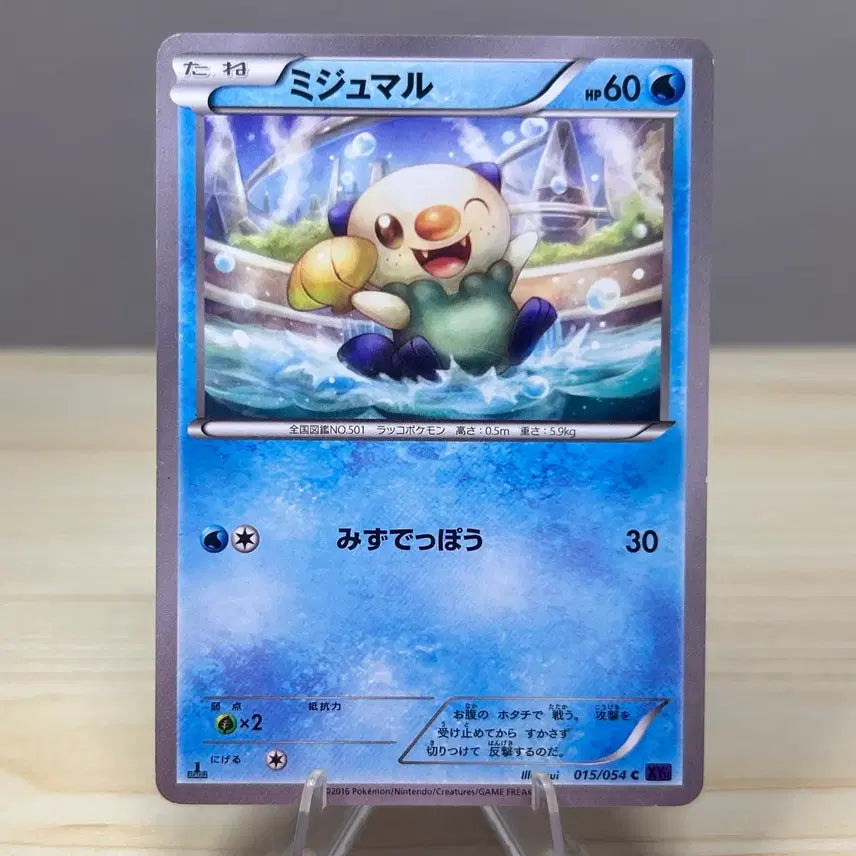 [BUNJANG] Pokemon Card Su-daengyi 015/054 XY11 1st Edition / [일판 포켓몬카드] 수댕이 015/054 XY11 1st edition