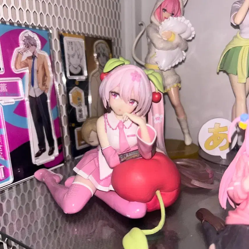 [BUNJANG] Good Smile Company Vocaloid Hatsune Miku Cherry Blossom Ver. Scale Figure / 체리 미쿠 피규어