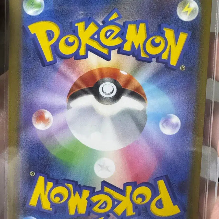 [BUNJANG] Pokemon Card Gladion&