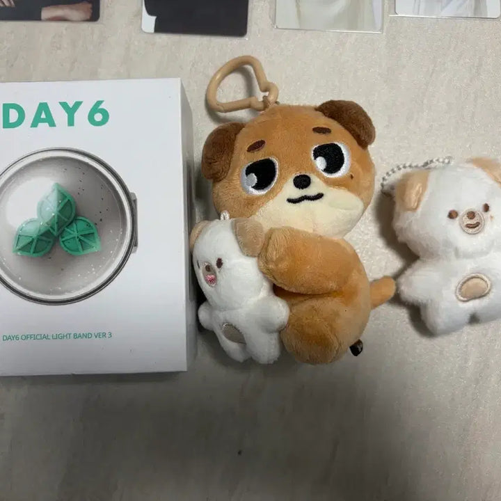 [BUNJANG] Day6 Bundle Set Photocards and Plush / 데이식스 굿즈 일괄처붐