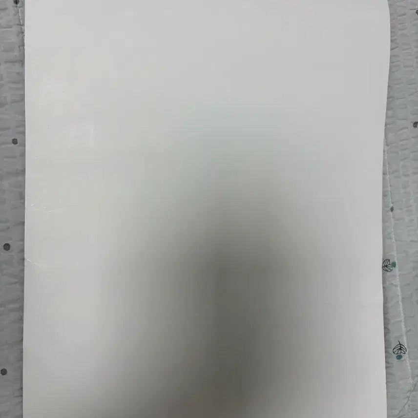 [BUNJANG] Akane Rize Concert POB Poster / 아카네 리제 콘서트 특전 포스터