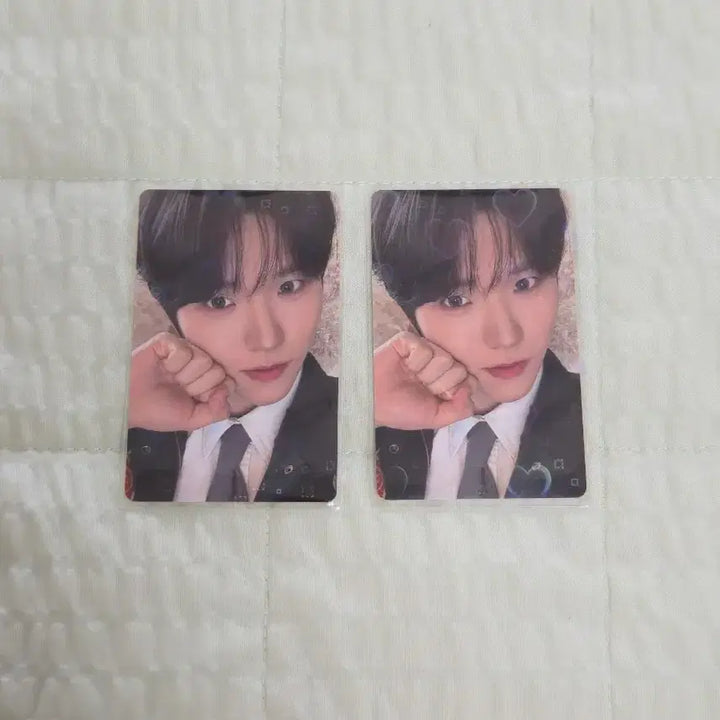 [BUNJANG] NCT WISH Jaehee Strawberry Bakery Pop-up POB Photocard / NCT WISH 위시 딸기 베이커리 팝업 재희 특전 포카
