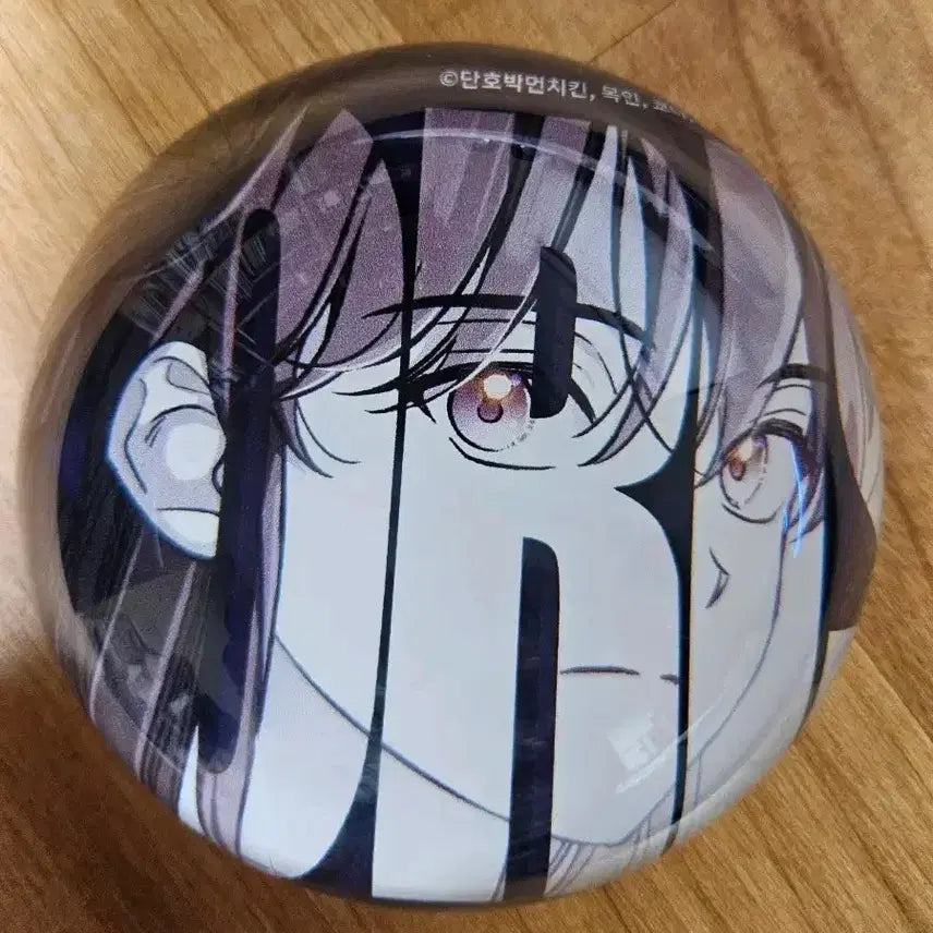 [BUNJANG] Record of Lodoss War Boris Paperweight / 룬의아이들 룬아 보리스 문진