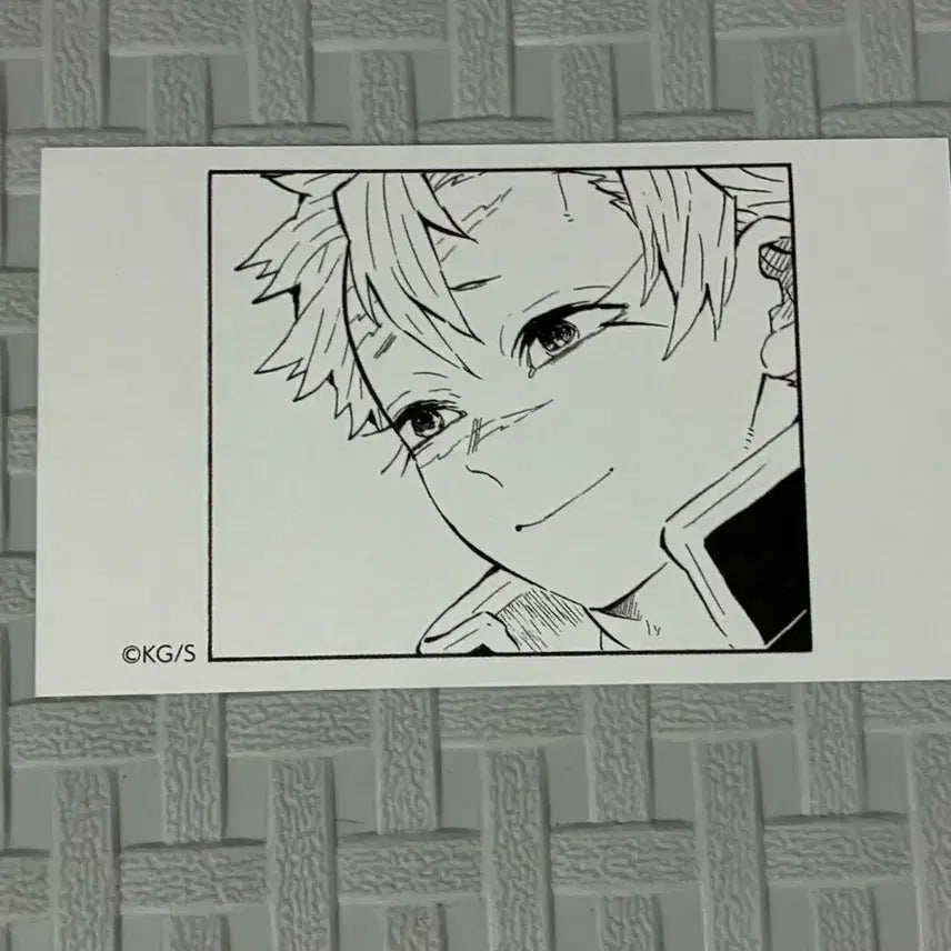 [BUNJANG] Demon Slayer Sanemi Shinazugawa Business Card Katsu Card Jump Shop Jump Festa / 귀멸의 칼날 귀칼 점프샵 점프페스타 사네미 명함 카드