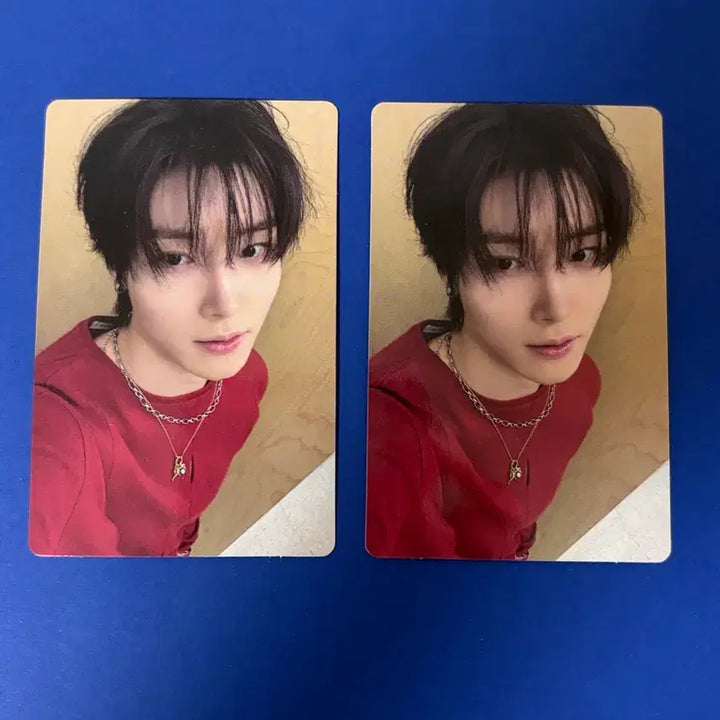 [BUNJANG] Hatsune Miku x Hatsune Miku Album Photocard / 하츠웨이브 리안 앨범 포토카드 포카 앨포
