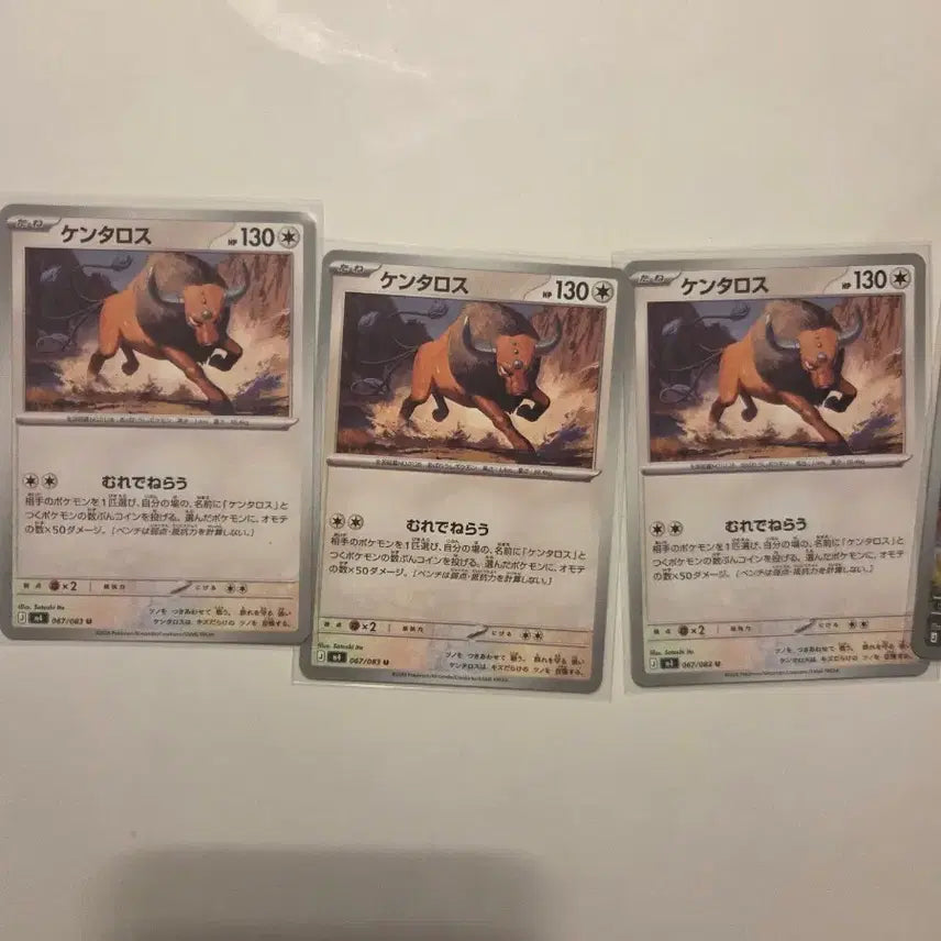 [BUNJANG] Pokemon Card Kentauros Japanese AR / 포켓몬카드 켄타로스 일판 ar