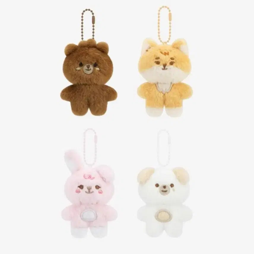 [BUNJANG] Day6 Bbpmul Bangkepildon Bundle Set / 데이식스 쁘쁘멀 방케필돈 일괄로 양도해요