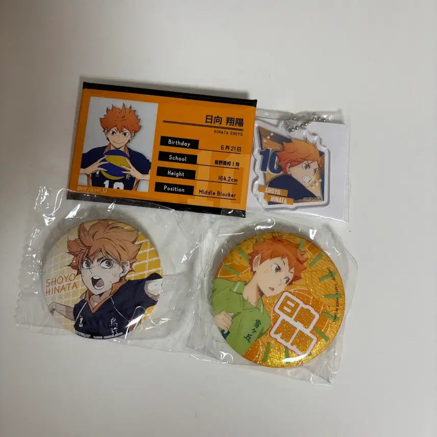 [BUNJANG] Haikyuu!! Shoyo Hinata Can Badge Keychain Goods Bundle Set / 하이큐 히나타 쇼요 캔뱃지 키체인 굿즈 일괄