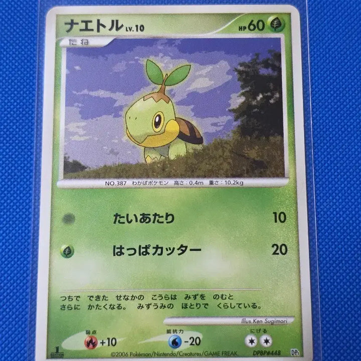 [BUNJANG] Pokemon Turtwig, Grotle, Torterra First Edition Set / (포켓몬) 모부기, 토대부기 퍼스트에디션 세트