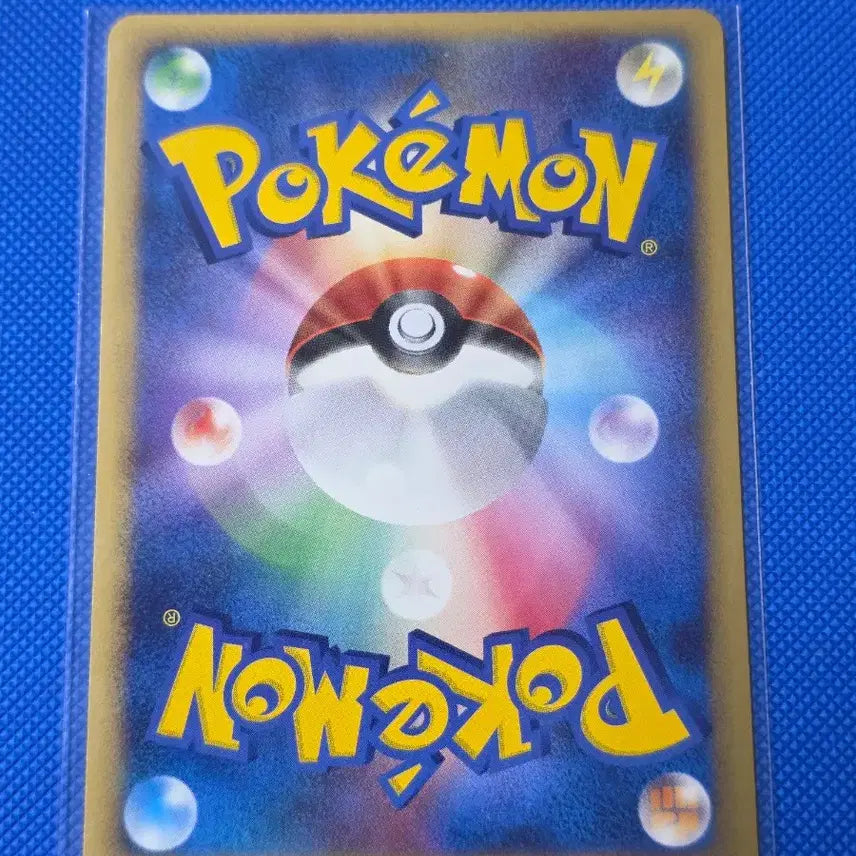 [BUNJANG] Pokemon Turtwig, Grotle, Torterra First Edition Set / (포켓몬) 모부기, 토대부기 퍼스트에디션 세트
