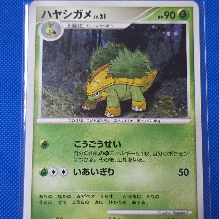 [BUNJANG] Pokemon Turtwig, Grotle, Torterra First Edition Set / (포켓몬) 모부기, 토대부기 퍼스트에디션 세트