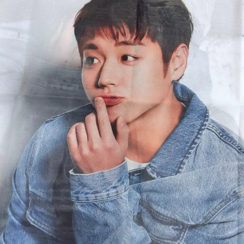 [BUNJANG] Park Jihoon Giyeong Charcoal Chicken Two-Piece Chicken Denim Jacket Fabric Poster / 박지훈 기영이 숯불 두마리 치킨 패브릭 포스터 청자켓