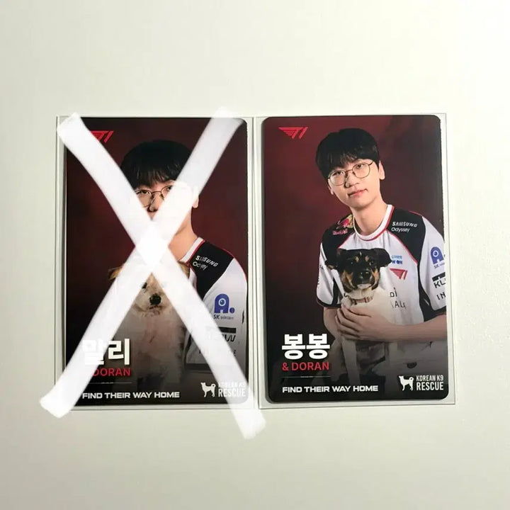[BUNJANG] T1 Homeground Doran Photocard / T1 티원 홈그 KK9R 도란 포카 양도