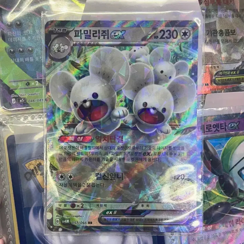 [BUNJANG] Pokemon Card Familijex RR / (A+급) 파밀리쥐ex rr 포켓몬카드