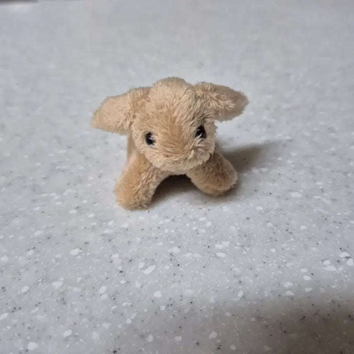 [BUNJANG] Konubi Lop Ear Rabbit Plush / 꼬누비 롭이어토끼 인형 판매합니다.