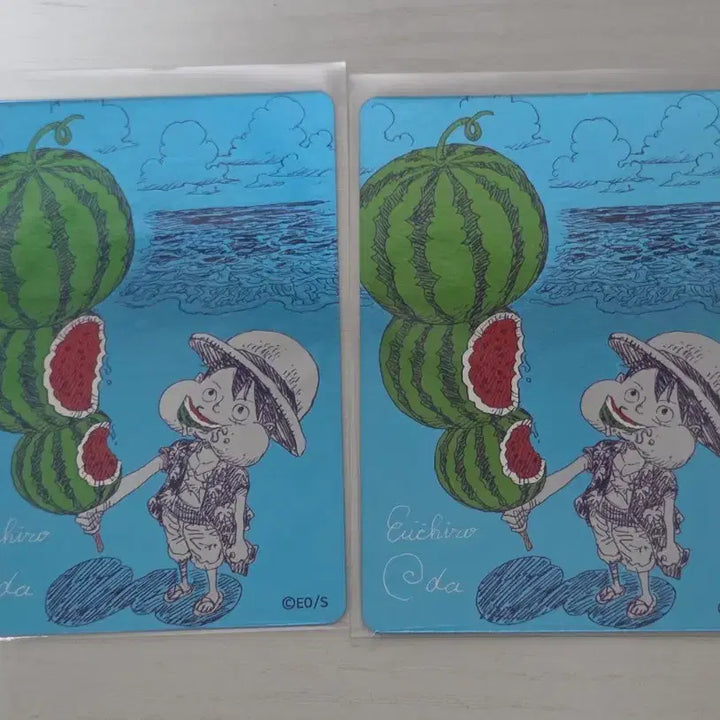 [BUNJANG] Watermelon Luffy 2-Piece Bundle Set / 수박루피 2장 일괄 판매