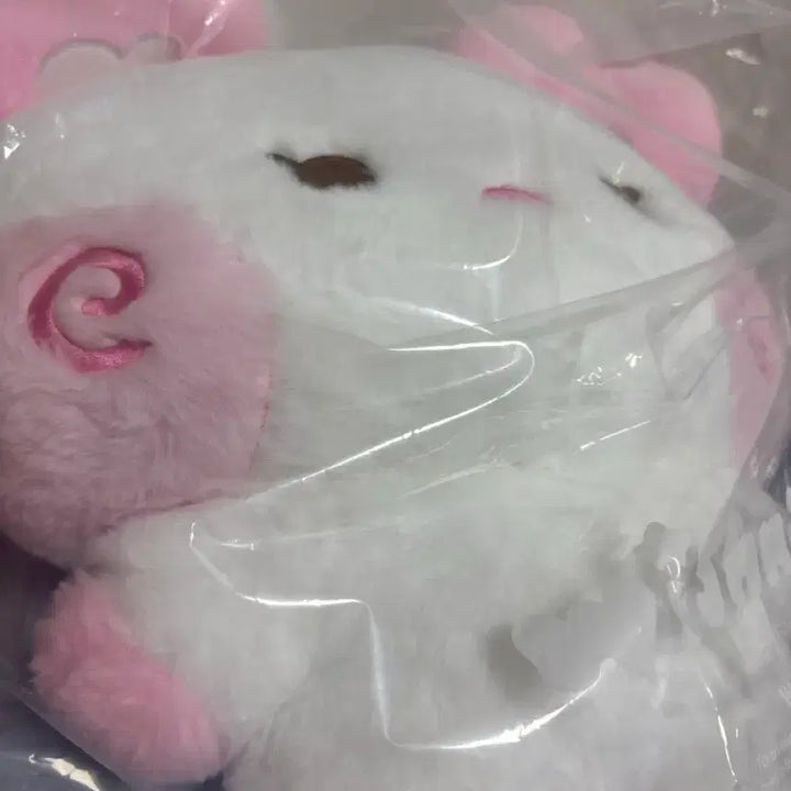 [BUNJANG] Wish Nini Pang Nini Plush / 엔시티위시 위시니니 팡팡니니 대왕 허그 쿠션