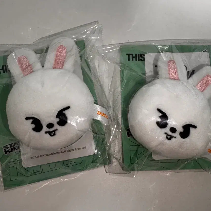 [BUNJANG] Stray Kids This &amp; That Popup Magnetic Holder / 스트레이키즈 마그네틱 홀더 리빗 양도