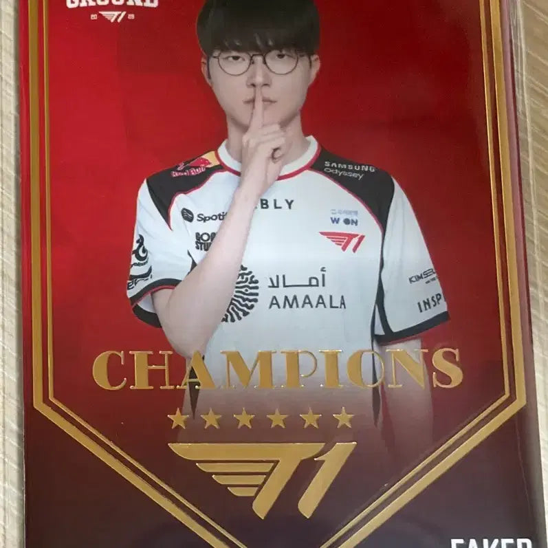 [BUNJANG] T1 Faker Champion Card / Bault 티원 홈그 페이커 챔피언 카드