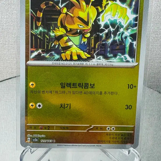 [BUNJANG] Pokemon Card 151 Erebus Monster Ball Holo / 151 포켓몬카드 에레브 몬스터볼 홀로