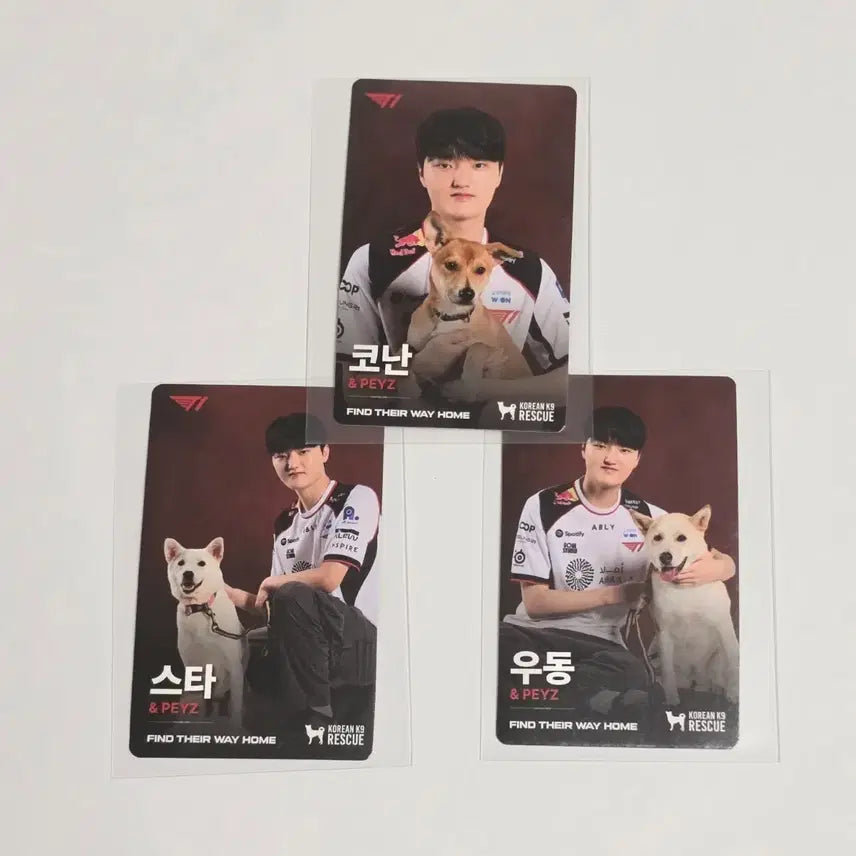 [BUNJANG] T1 Faker Peyz Dog Photocard Bundle Set / T1 티원 홈그라운드 홈그 kk9r 강아지 페이즈 peyz 포카 판매