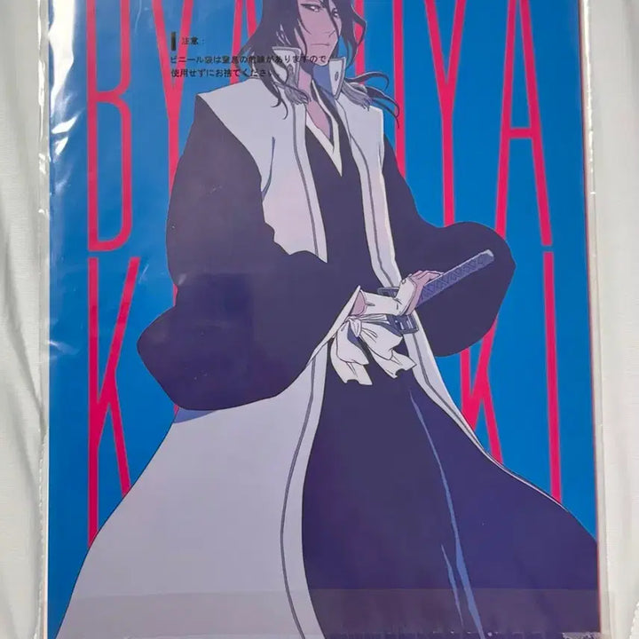 [BUNJANG] Bleach Thousand-Year Blood War Arc E Prize Clear File - Renji Abarai &amp; Byakuya Kuchiki / 블리치 쿠지 천년혈전편 E상 클리어파일 아바라이렌지 쿠치키뱌쿠야