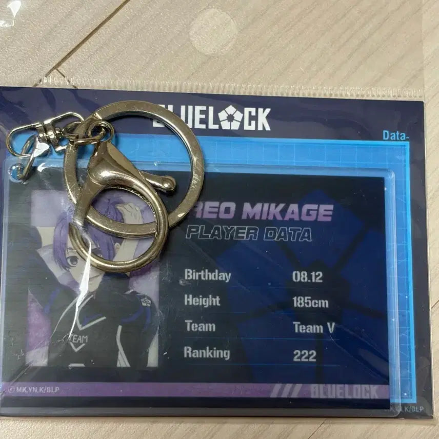[BUNJANG] Mikage Leo Card Acrylic Keychain / 미카게 레오 카드 아크릴 키홀더 미개봉 애니플러스 콜라보