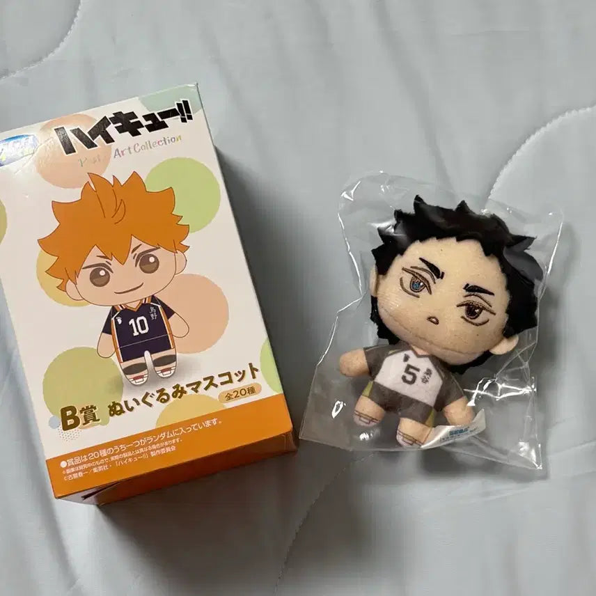 [BUNJANG] Haikyuu!! Sega Kuji Akaashi Keiji Plush Mascot / 하이큐 세가쿠지 B상 아카아시 누이구루미 마스코트 인형