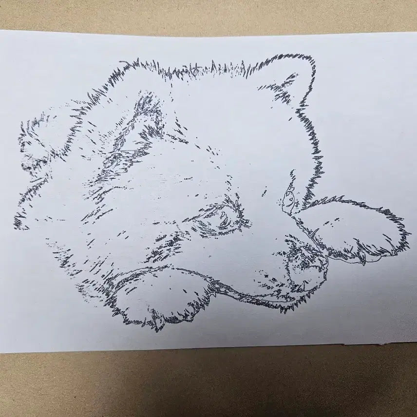 [BUNJANG] Pen Sketch Commission - A4 Size / 펜스케치 그림커미션
