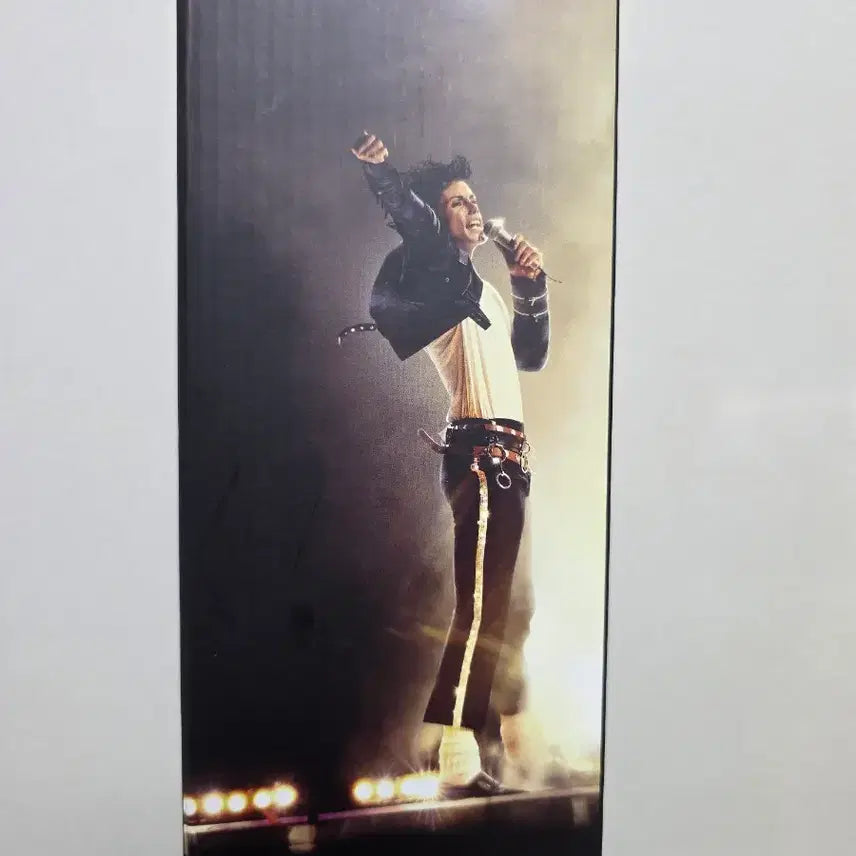 [BUNJANG] Michael Jackson Unsealed Lightstick / 마이클 잭슨 응원봉 미개봉