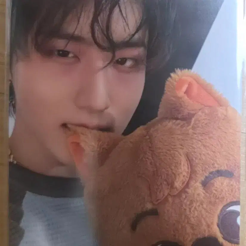 [BUNJANG] Stray Kids Han Dominate POB Photocard / 스트레이키즈 한 도미네이트 4만원 특전
