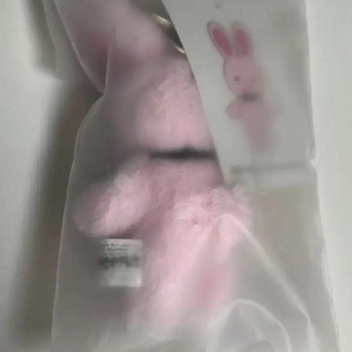 [BUNJANG] Line Friends Brown Doll Keychain / 괴담출근 착한친구 착친 브라운 인형 키링