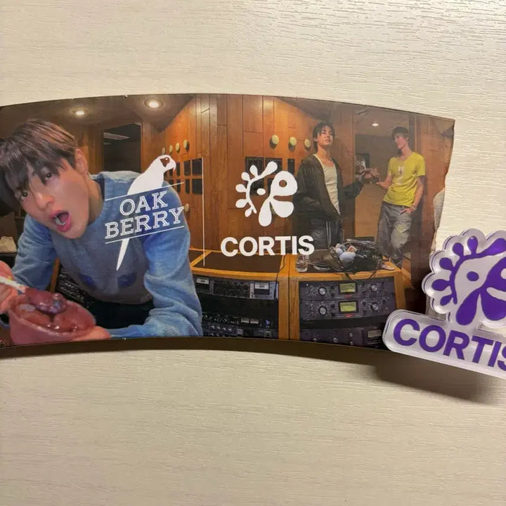 [BUNJANG] Cortice Oakberry Cup Holder / 코르티스 오크베리 컵홀더