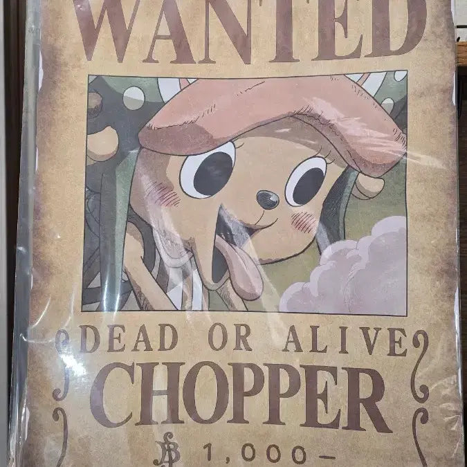 [BUNJANG] One Piece Trafalgar Law &amp; Chopper Wanted Poster Bundle Set Poster / 일괄 원피스 트라팔가 로우 쵸파 현상수배서 포스터 퍄매