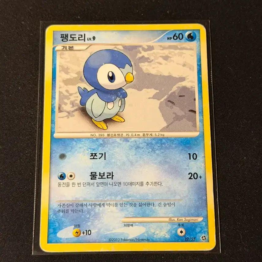 [BUNJANG] 2010 DP Piplup Pokemon Card / 2010 dp 포켓몬카드 팽도리