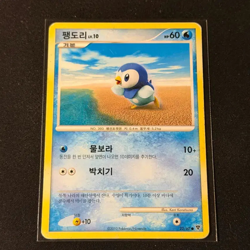 [BUNJANG] Pokemon Card Turtwig (2010 DP Series) / 2010 dp 포켓몬카드 팽도리