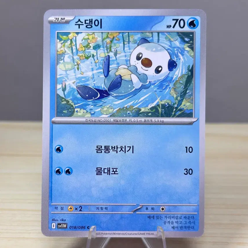 [BUNJANG] Su-denggi (Water Type) SV11W 018/086 C White Flare Pokemon Card / [포켓몬카드] 수댕이 sv11W 018/086 C 화이트플레어