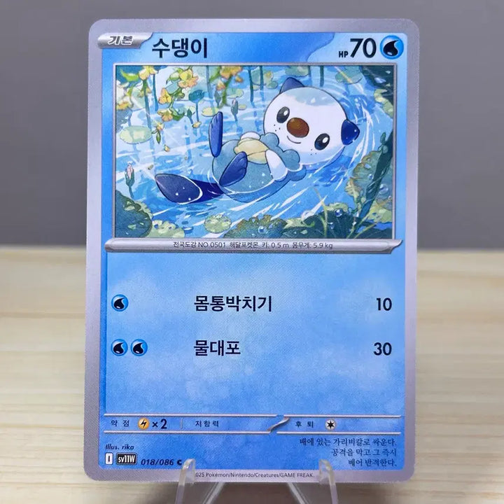 [BUNJANG] Su-denggi (Water Type) SV11W 018/086 C White Flare Pokemon Card / [포켓몬카드] 수댕이 sv11W 018/086 C 화이트플레어