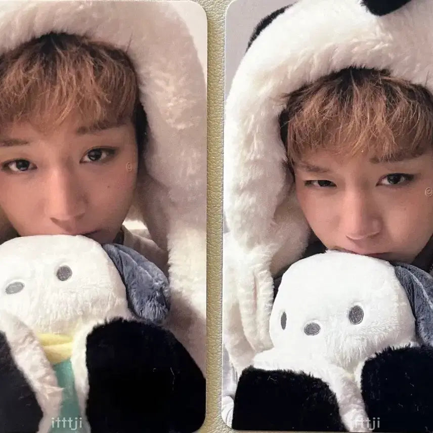 [BUNJANG] Park Jihoon Beat Road Pochacco Photocard / 박지훈 비트로드 포차코 포챠코 포토카드 포카