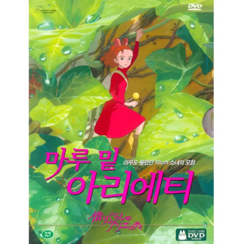 [BUNJANG] Studio Ghibli Arrietty The Secret World of Arrietty DVD / 마루밑 아리에티 영화 DVD 디비디 지브리