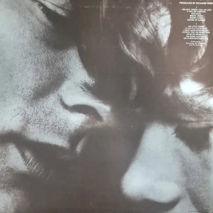 [BUNJANG] Art Garfunkel Breakaway LP Vinyl Record / 브레이크어웨이 아크 가펑클  LP