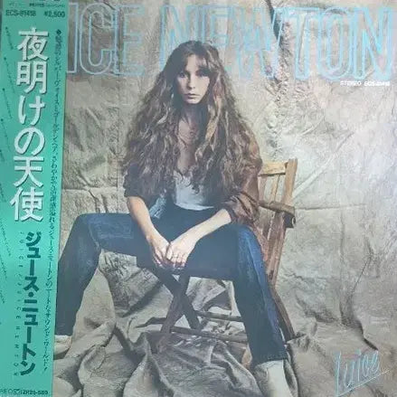[BUNJANG] Juice Newton LP / 주스 뉴톤 LP