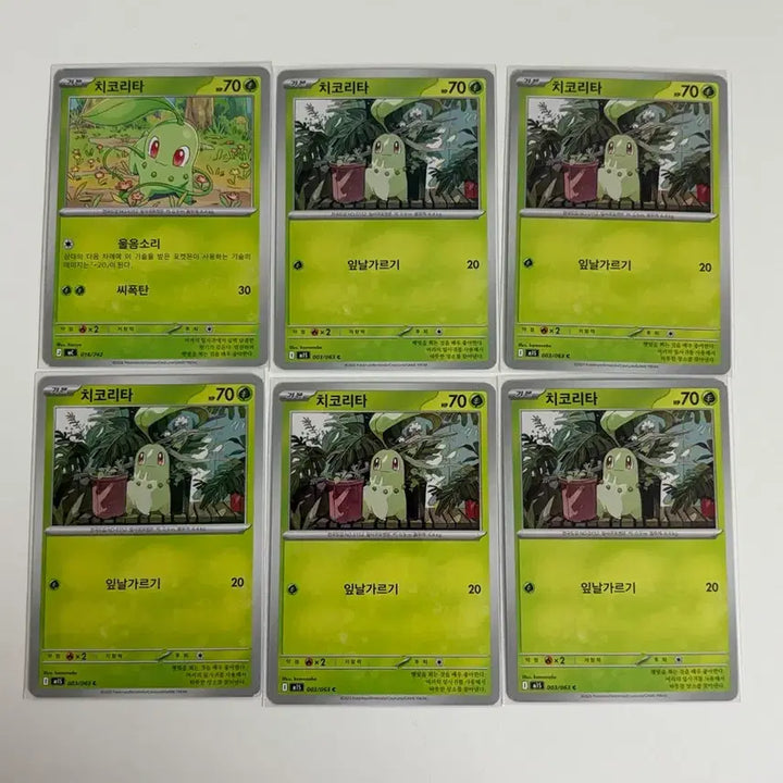 [BUNJANG] Pokemon Card Chikorita 6 Card Set / 포켓몬 카드 치코리타 6장 세트