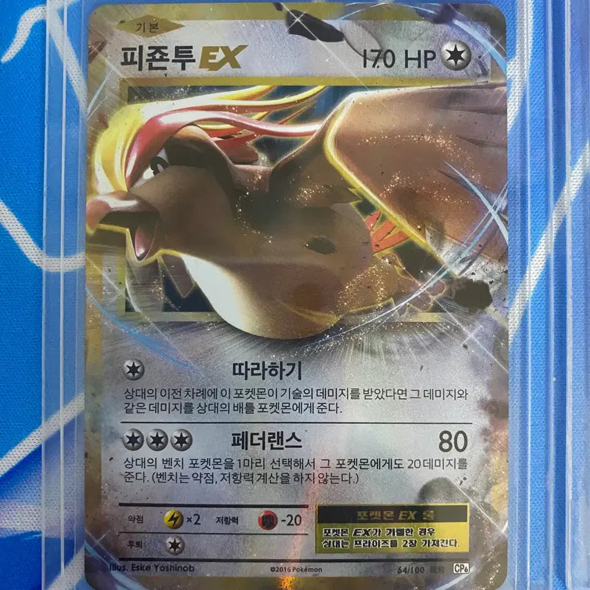 [BUNJANG] Pokemon Card Ancient Card 20th Anniversary Pidgeot Mega Pidgeot Set Bundle / 포켓몬카드 고대카드 20주년 피죤투 메가피죤투 세트 일괄