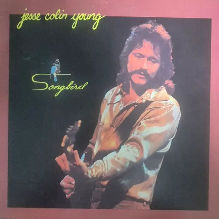 [BUNJANG] Songbird Jessye Norman LP / Songbird 제시 콜린 영 LP