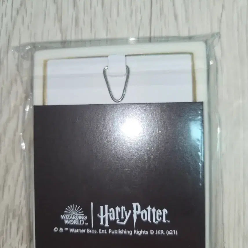 [BUNJANG] Harry Potter Tom Riddle Portrait Magnet / 톰리들 초상화 마그넷 양도합니다
