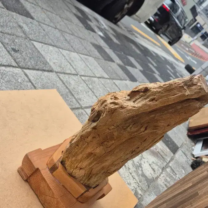 [BUNJANG] Unknown Wood Fossil Decor - 30x41x15 cm / 30   41  15 센치 나무화석 이름모름