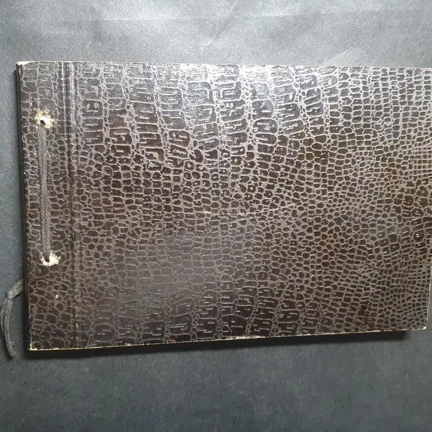 [BUNJANG] Japanese Colonial Era Gyeongju Cultural Heritage Photo Album / 일제시대 경주 문화재 사진첩 고서