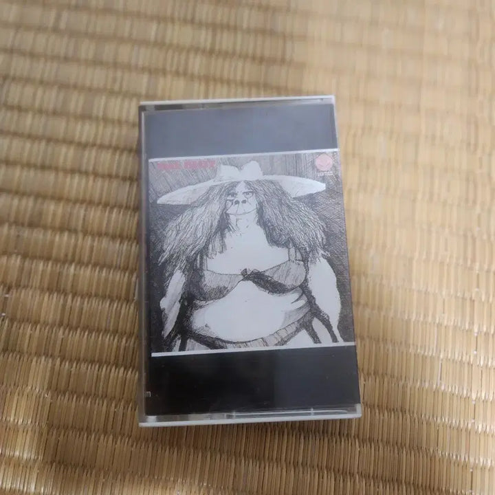 [BUNJANG] Mayblitz Cassette Tape / Mayblitz 카세트 테잎 판매합니다